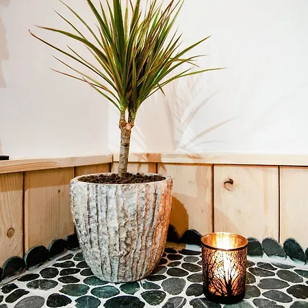 Modern Wellness Stay, *
